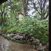 評論圖片 3