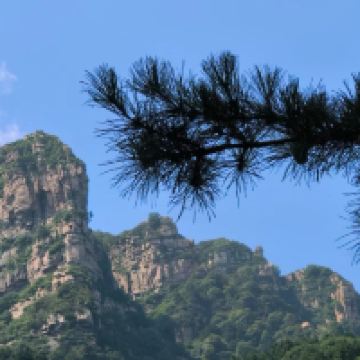 評論圖片 3