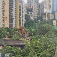 評論圖片 7