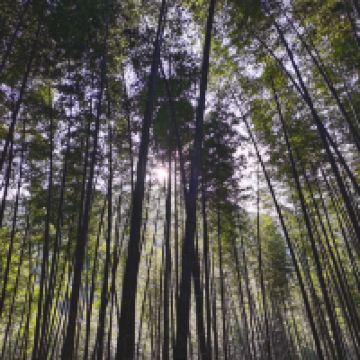 評論圖片 3
