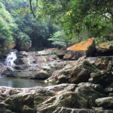 評論圖片 3