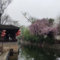 評論圖片 8