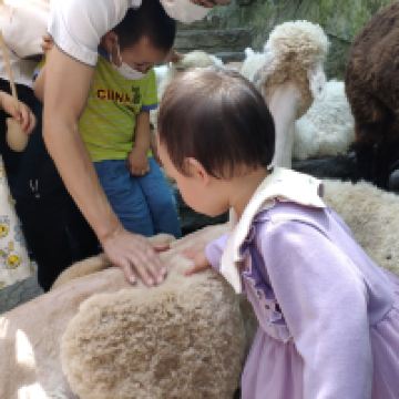 評論圖片 5