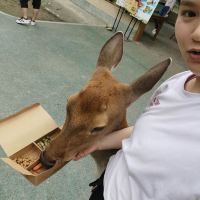 評論圖片 4