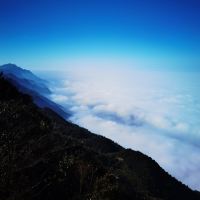 評論圖片 7
