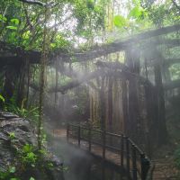 評論圖片 8