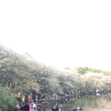 評論圖片 2