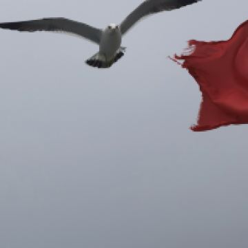 評論圖片 7