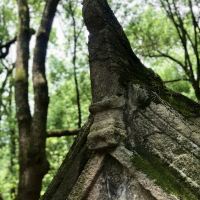 評論圖片 6