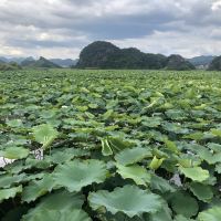 評論圖片 7
