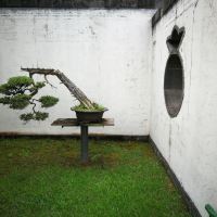 評論圖片 2