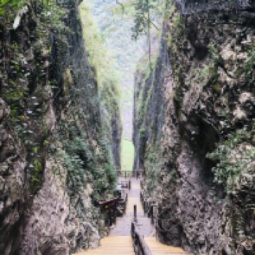 評論圖片 4