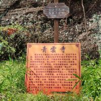 評論圖片 9
