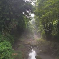 評論圖片 9