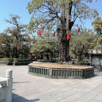 評論圖片 1