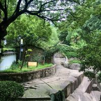 評論圖片 7