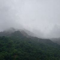 評論圖片 1