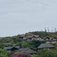 評論圖片 4