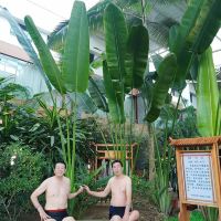 評論圖片 1