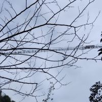 評論圖片 2