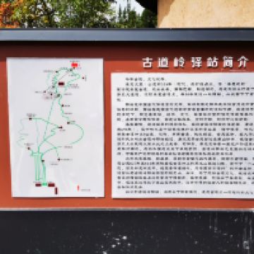 評論圖片 7