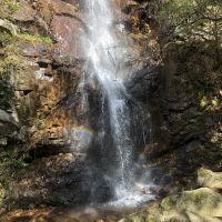 評論圖片 8