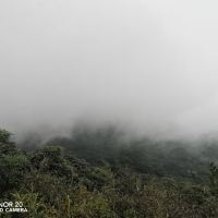 評論圖片 2