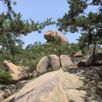 評論圖片 1