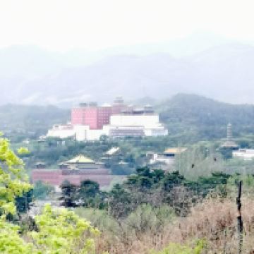 評論圖片 2