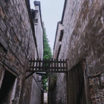 評論圖片 3