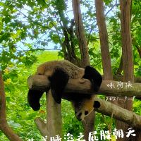 評論圖片 8