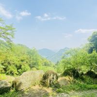 評論圖片 6