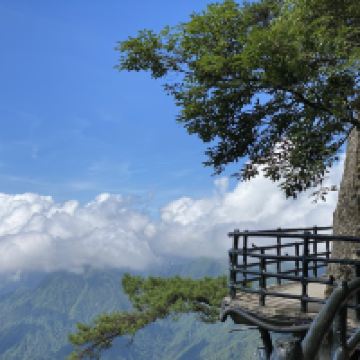 評論圖片 7