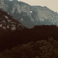 評論圖片 1