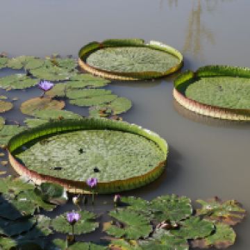 評論圖片 7