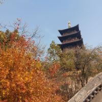 評論圖片 3