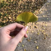 評論圖片 1