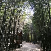 評論圖片 6