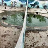 評論圖片 9