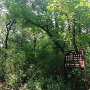 評論圖片 2