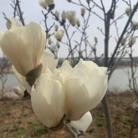 評論圖片 2
