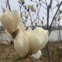 評論圖片 1