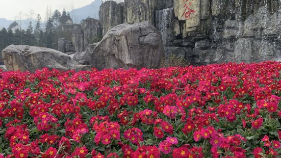 說是去看花的，結果沒有什麼花，動物園騎馬也剛好遇到喂馬的時候