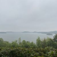 評論圖片 4