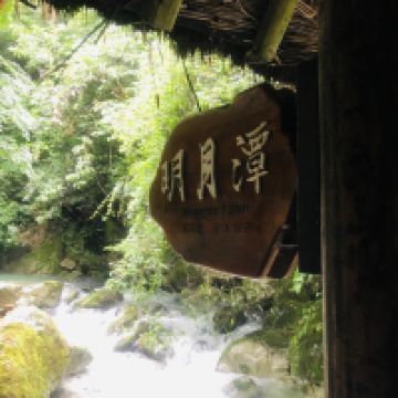 評論圖片 7