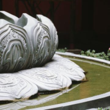 評論圖片 9