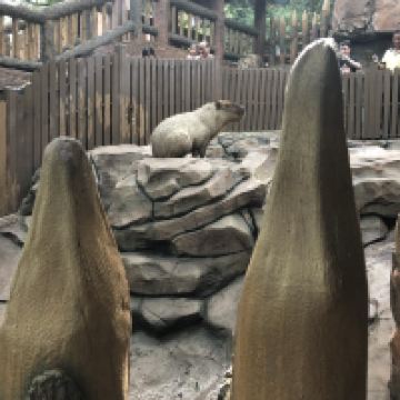 評論圖片 8