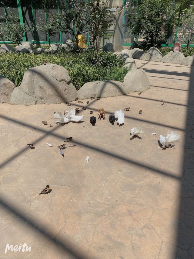 지파 생태계 농업 시범 관광파크
