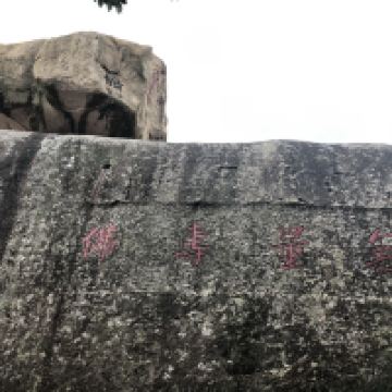 評論圖片 1
