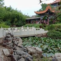 評論圖片 8